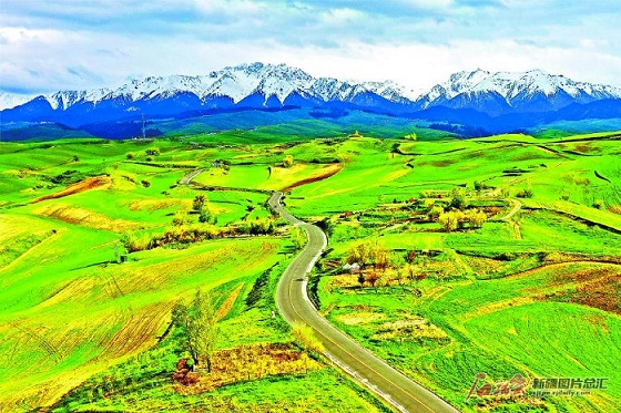 фотоны анар б?лт / Шы?жа? газет?н?? т?лш?с? Цай Цзэнлэ т?с?рген