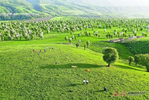 фотоны Жа? Чи?хуа т?с?рген