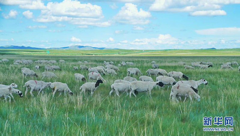 ?шк? Мо???лды? Шилин-Гол ???р? ?Экологиялы? ?ойлар мекен?? ата?ын алды