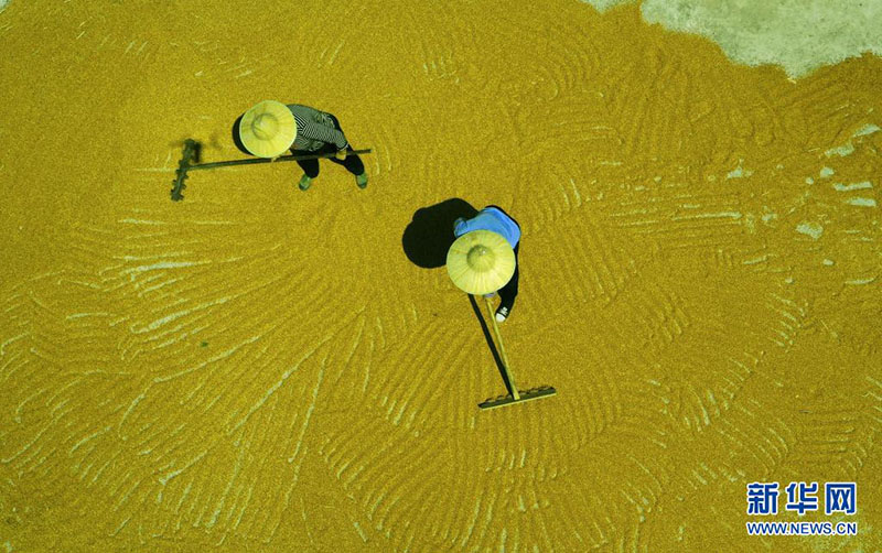 Тапсырыспен ег?н егу ди?андарды? табысын молайтты