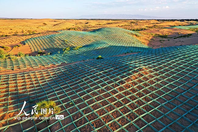 Ганьсу ?лкес?н?? Гаотай ауданында?ы ш?л дала жасыл ал?ап?а айналды