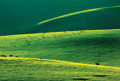 Жаз?ы Силин-Голе сахарасыны? к?ркем к?р?н?с?