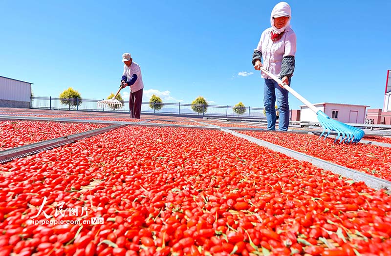 Гансуды? Шандан ауданы ала?аттан мол ?н?м алды
