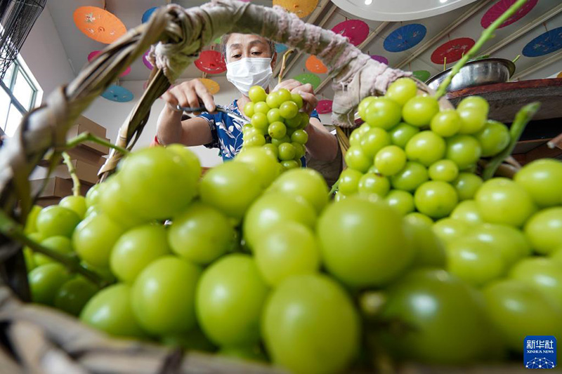 Ж?з?мнен алын?ан мол ?н?м ди?андарды табыс?а жетелед?