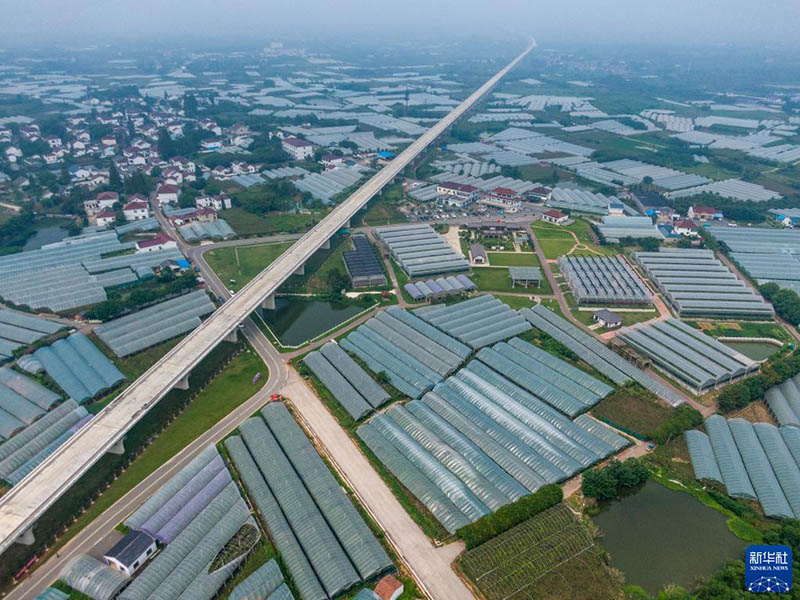 Ж?з?мнен алын?ан мол ?н?м ди?андарды табыс?а жетелед?