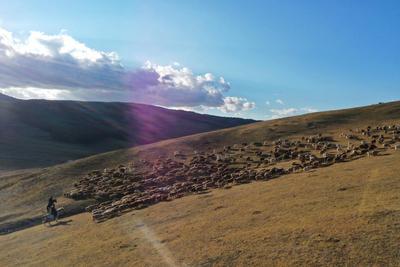 Шы?жа?ны? Алтай айма?ында?ы ?шопан? полицейлер