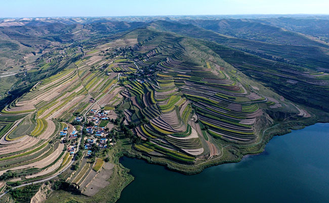 ?Нинсяда?ы Сицзичжэнь к?л?н?? к?зг? келбет?