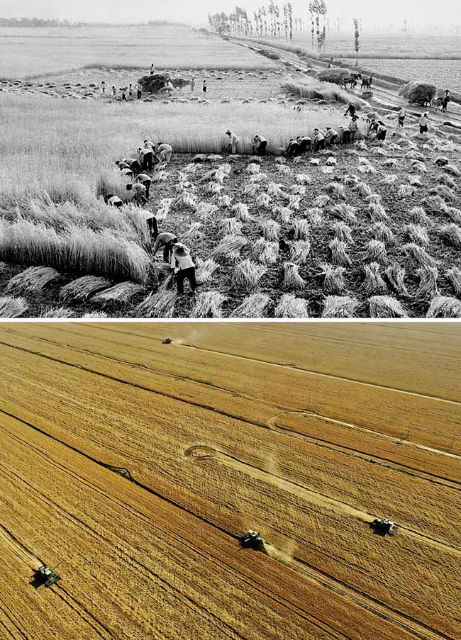 Хэнаньны? ауылшаруашылы? ?нд?р?с? саласында?ы ?згер?стер