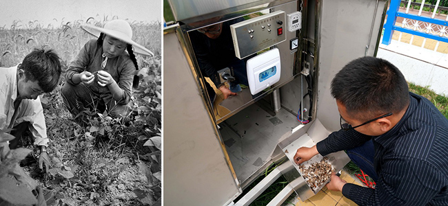 Хэнаньны? ауылшаруашылы? ?нд?р?с? саласында?ы ?згер?стер