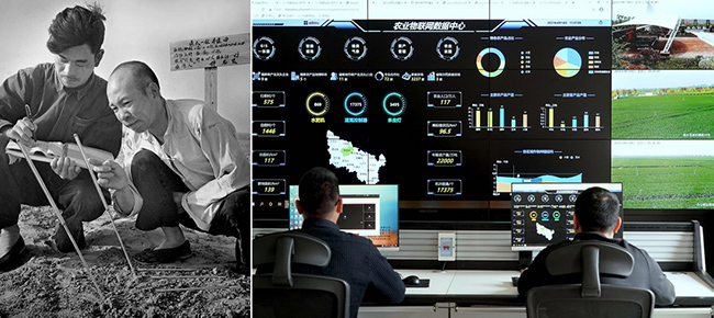 Хэнаньны? ауылшаруашылы? ?нд?р?с? саласында?ы ?згер?стер