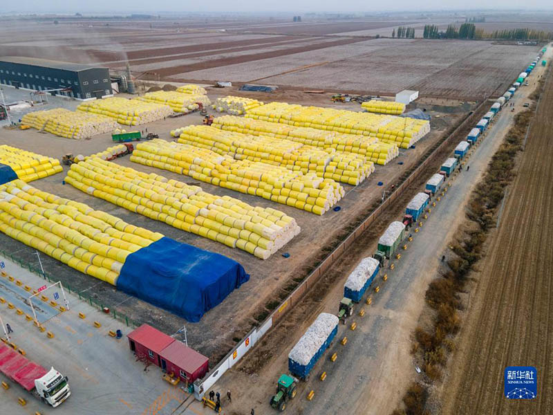 Шы?жа?ны? ма?тасын жинау, сатып алу ?арбаласты?ы басталды