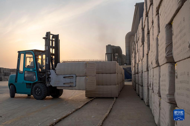 Шы?жа?ны? ма?тасын жинау, сатып алу ?арбаласты?ы басталды