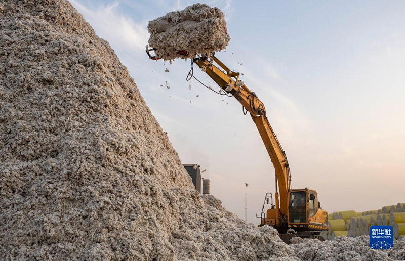Шы?жа?ны? ма?тасын жинау, сатып алу ?арбаласты?ы басталды
