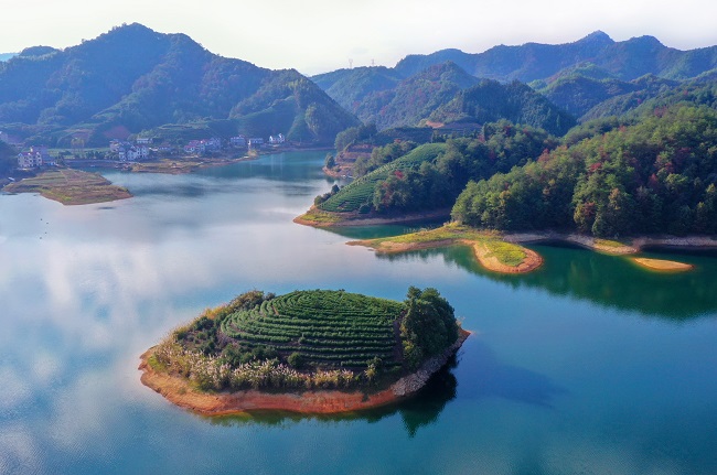 Алтын к?здег? ?К?л бет?ндег? шай ба?шасы? к?зд?? жауын алады