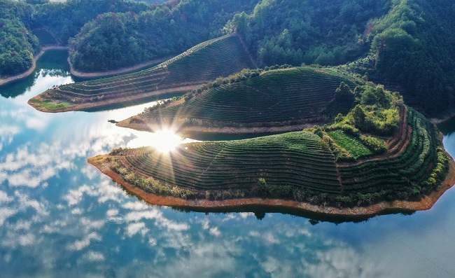 Алтын к?здег? ?К?л бет?ндег? шай ба?шасы? к?зд?? жауын алады