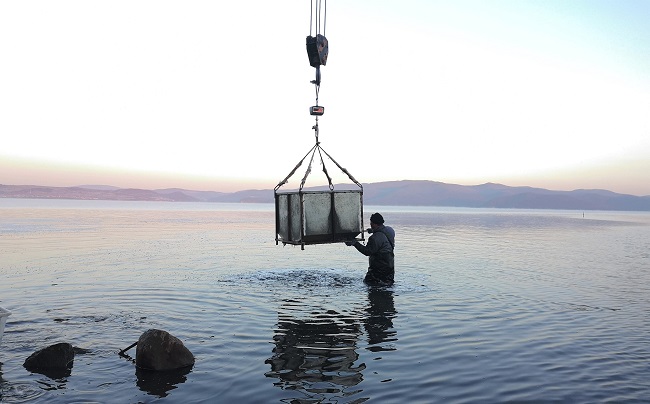 ?ыс ??ша?ында жым-жырт жат?ан Цзинбо(Айна) к?л?н?? мол ?н?м?