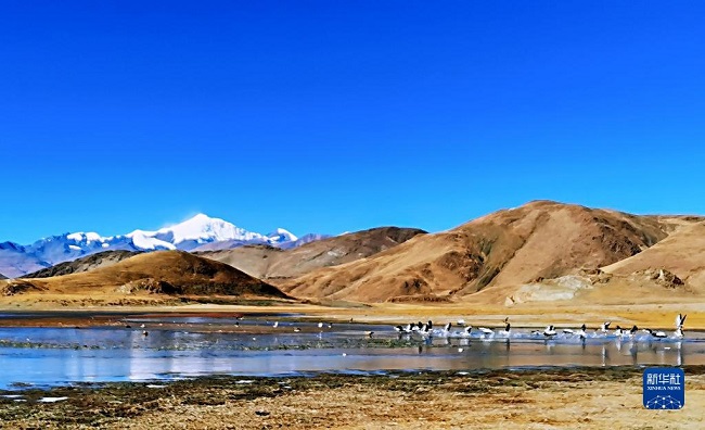 ?ыста?ы Ямдрок к?л?н?? к?рк?