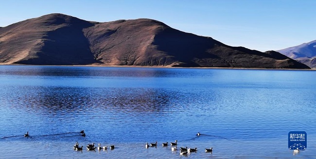 ?ыста?ы Ямдрок к?л?н?? к?рк?