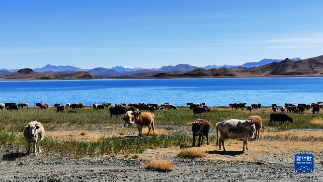 ?ыста?ы Ямдрок к?л?н?? к?рк?