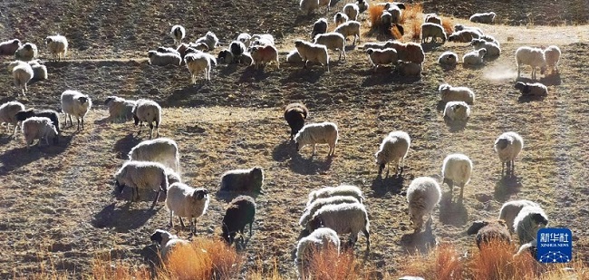 ?ыста?ы Ямдрок к?л?н?? к?рк?