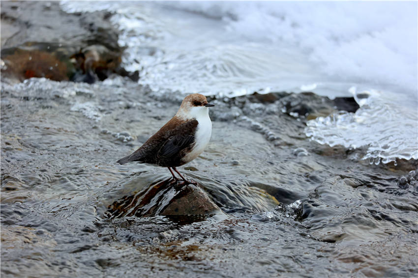 ?арлы елд?? таби?атын тамашала?ы?ыз келсе ?ыста ?анас?а бары?ыз