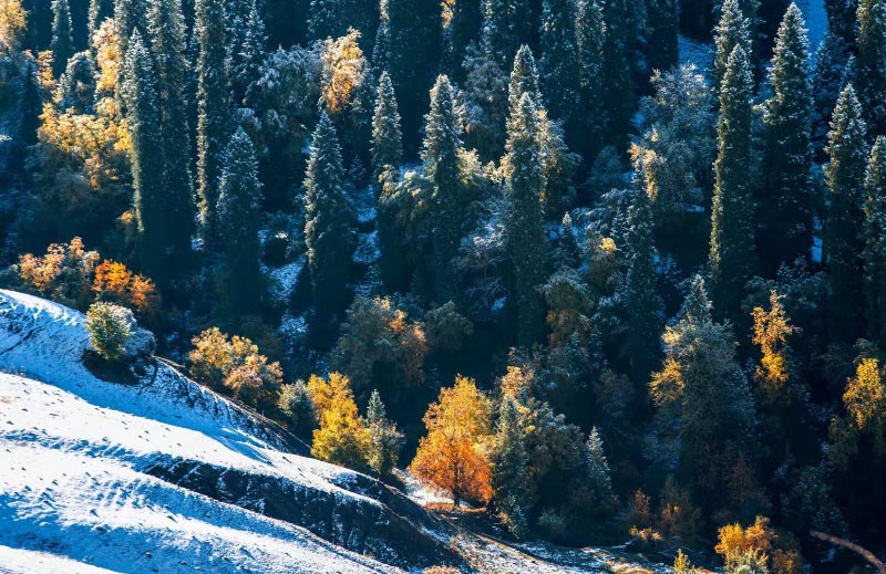 Б?лт ш?ккен К?лдене?