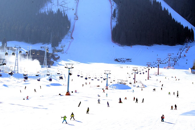 М?з-?арды тамашалап, ?ыс?ы Олимпиаданы ?арсы алайы?