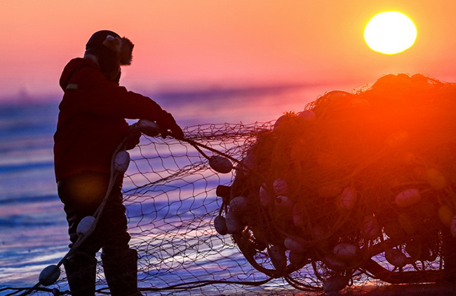 Ша?ан к?л?нде б?р балы? 3 миллион юань?а сатылды