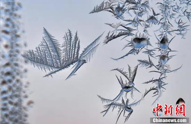 Солт?ст?к-шы?ыста?ы таби?атты? ?олымен ?рнектелген кестелер