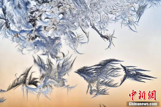 Солт?ст?к-шы?ыста?ы таби?атты? ?олымен ?рнектелген кестелер