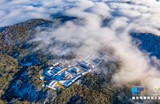 Жиньфо тауыны? ?ыс?ы келбет?