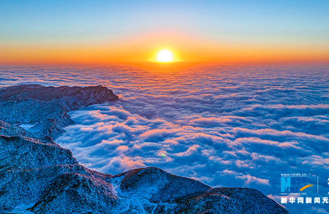 Жиньфо тауыны? ?ыс?ы келбет?