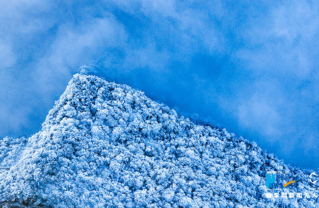 Жиньфо тауыны? ?ыс?ы келбет?