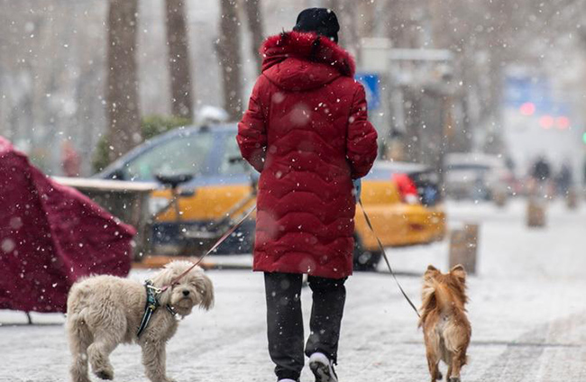 Бейж??ге 2022 жылды? ал?аш?ы ?ары жауды