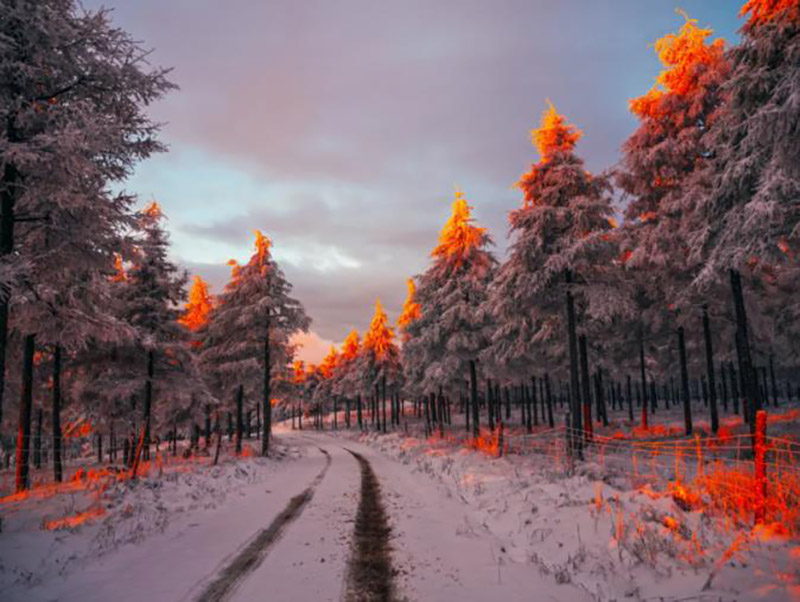 ?ыс к?рк?нен л?ззат алы?ыз