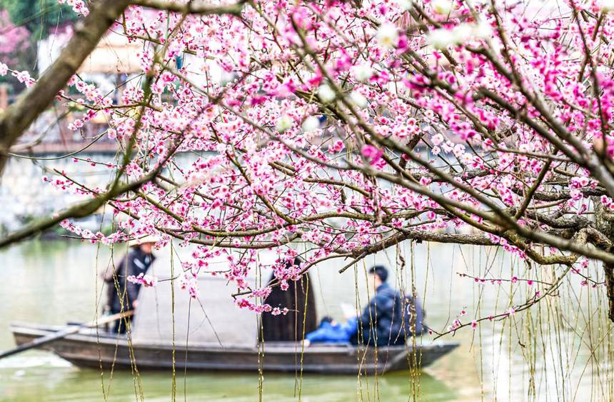 Чунцин ?аласы Наньчуань ауданында: халы? к?ктемг? серуенге шы?а бастады