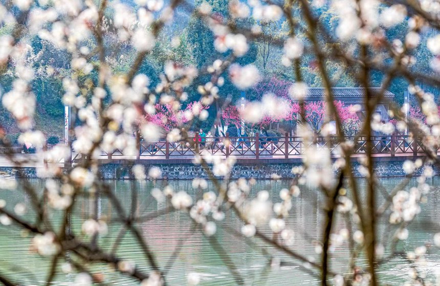 Чунцин ?аласы Наньчуань ауданында: халы? к?ктемг? серуенге шы?а бастады