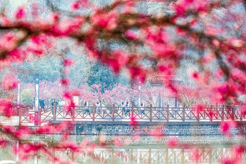 Чунцин ?аласы Наньчуань ауданында: халы? к?ктемг? серуенге шы?а бастады