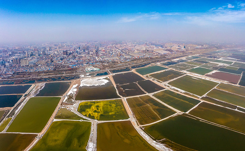 Шаньси Юньчэнн?? экологиясына к?р?к ?ос?ан т?зды к?л