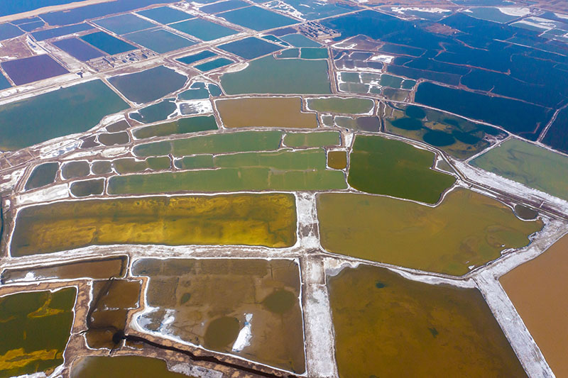 Шаньси Юньчэнн?? экологиясына к?р?к ?ос?ан т?зды к?л