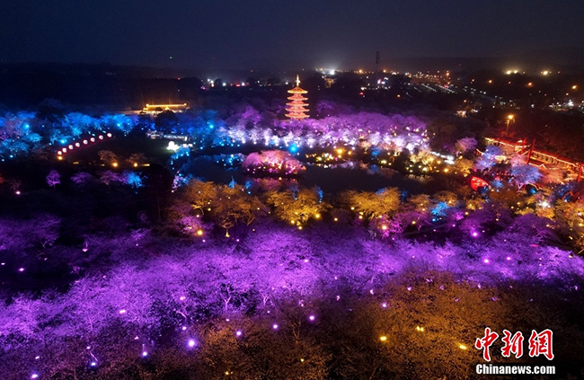 Уханьда?ы халы? сакураны тамашалады