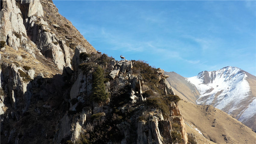Шы?жа?ны? Мо??олк?ре ауданы Шаты саяхат районында?ы ?й?рл? тауешк?лер