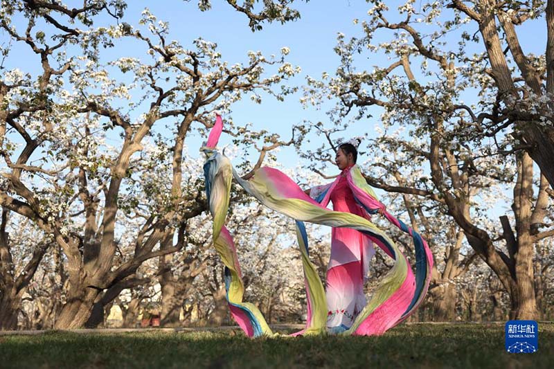 ?асырлы? алм?рт ба?ы г?лдер?н ?б?лт? ар?ылы тамашалады