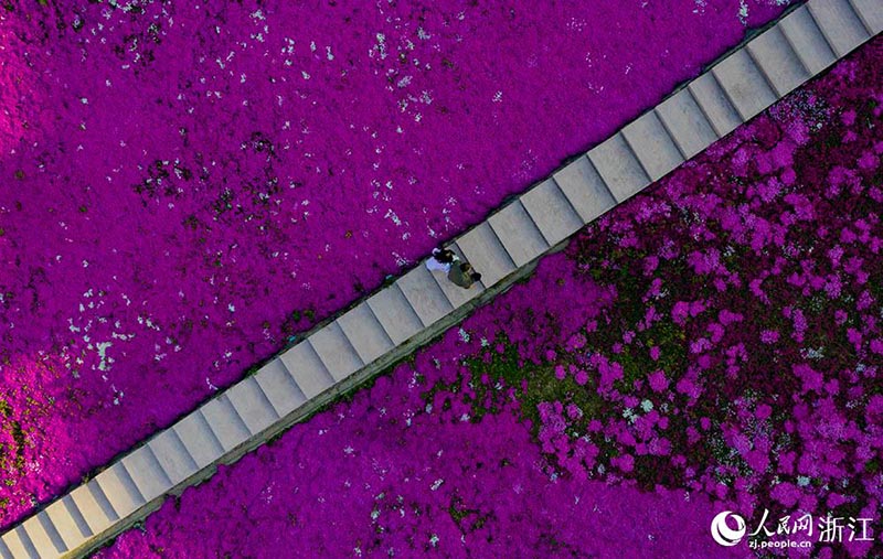 Нинбо ?аласы, Чичэн ?алашы?ы: к?лг?н бояу жа??андай, к?зд?? жауын алады