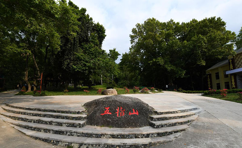 Хайнань ысты? белдеудег? жа?бырлы орманы хайуанаттарды? ж?ннат мекен?не айналды