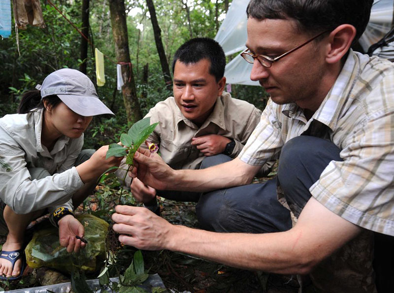 Хайнань ысты? белдеудег? жа?бырлы орманы хайуанаттарды? ж?ннат мекен?не айналды