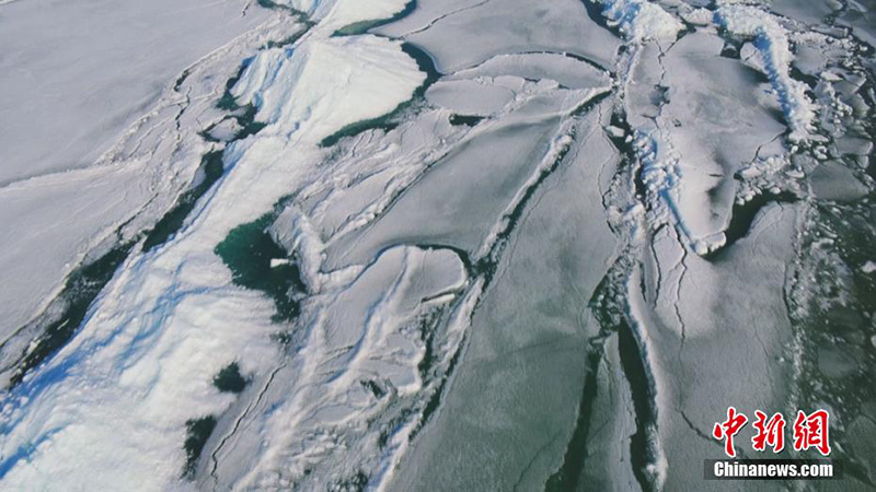 Шы?жа?да?ы ?л??г?р к?л?н?? м?зы ер?д?