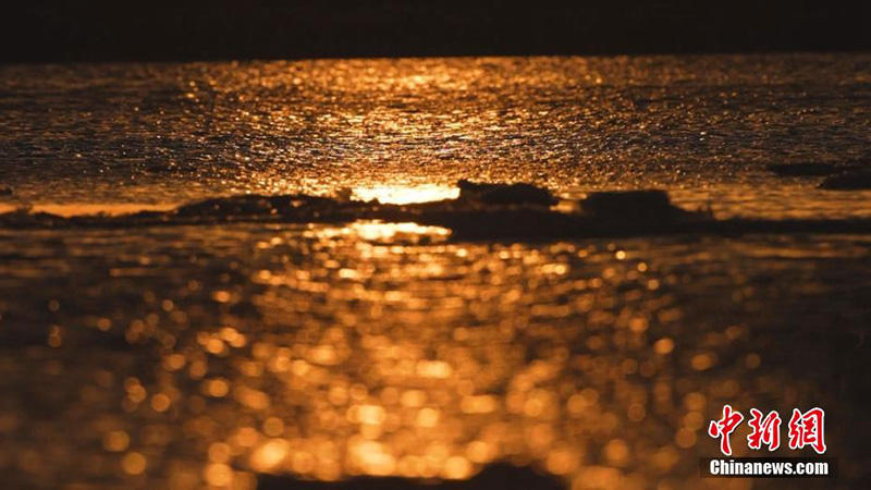 Шы?жа?да?ы ?л??г?р к?л?н?? м?зы ер?д?