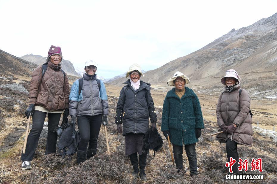 Тибетте ??рт ш?п ?азу маусымы басталды