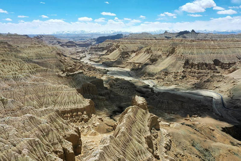 Тибеттег? Алиды? Занда топыра? орманымен таныс болы?ыз